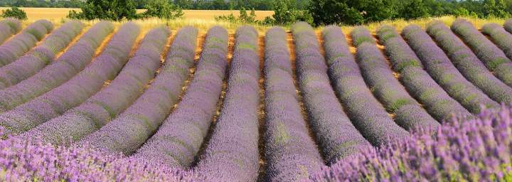 Hôtel centre-ville Manosque